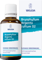 BRYOPHYLLUM ARGENTO cultum D 3 Dilution